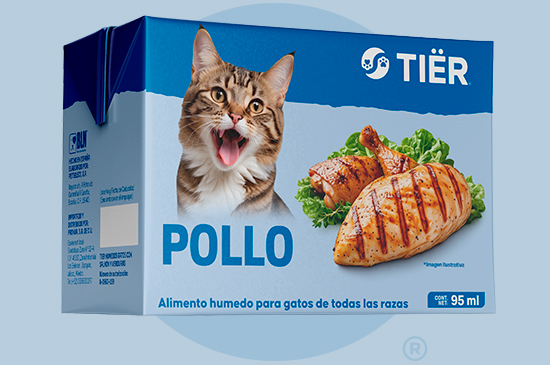 croquetas tier para perro todas las razas
